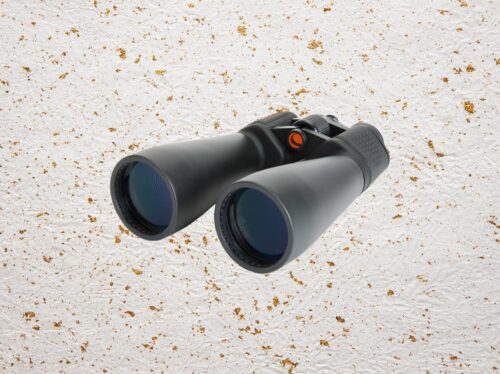 best-binoculars-(2024):-nikon,-celestron,-swarovski,-zeiss